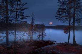Red Moon (Nikki Georgieva V) - Muzeo.com