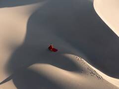 Red skirt (Bingo Z) - Muzeo.com