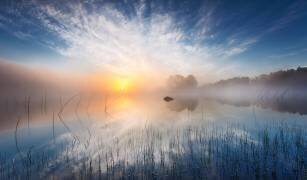 Reflection (Martin Lutz) - Muzeo.com