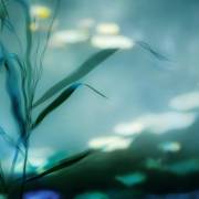 Ripples in Suzhou (Piet Flour) - Muzeo.com