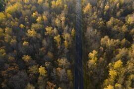 Road (Dmitry Doronin) - Muzeo.com