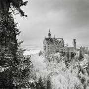 Schloss Neuschwanstein (Ronny Behnert) - Muzeo.com