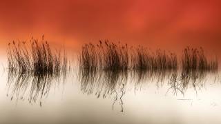 Serenity (Rui David) - Muzeo.com