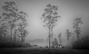 Serenity (Angela Muliani Hartojo) - Muzeo.com