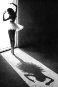 Shadow Dance (Sebastian Kisworo) - Muzeo.com