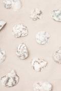 Shells 2 (1x Studio III) - Muzeo.com