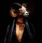 Sherazade (Enza Paoli) - Muzeo.com