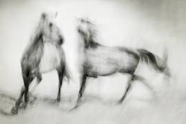 Shivers (Martine Benezech) - Muzeo.com