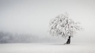 Silence (Andreas Wonisch) - Muzeo.com