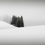 Snowytales Oasis (Ronny Behnert) - Muzeo.com