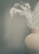 Soft feeling (Heidi Westum) - Muzeo.com