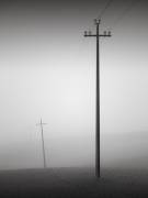 Solidarity (Ronny Behnert) - Muzeo.com