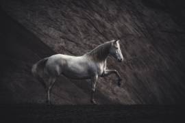 Solitaire (Heike Willers) - Muzeo.com