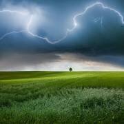 Someplace in Summer (Nicolas Schumacher) - Muzeo.com