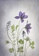Spring (Binbin Lu) - Muzeo.com