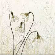 Springtime! (Nel Talen) - Muzeo.com