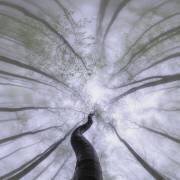 Springtime (Tom Pavlasek) - Muzeo.com