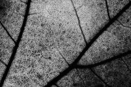 Streets (Matteo Chiarello ) - Muzeo.com