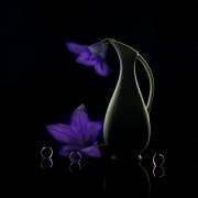 Summer night (Wendy Xu) - Muzeo.com