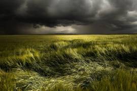 Summer Weather (Nicolas Schumacher) - Muzeo.com