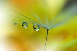 SunBeam...III (Juliana Nan) - Muzeo.com