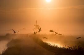Sunrise Flight (Harm Klaverdijk) - Muzeo.com