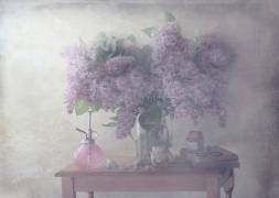 Sweet Lilacs (Delphine Devos) - Muzeo.com