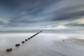 T (Rafal Nebelski) - Muzeo.com