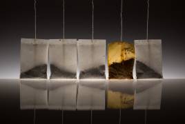 Teascape (Wieteke de Kogel) - Muzeo.com