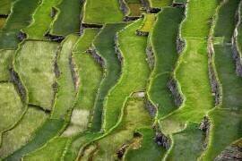 Terrace walking (Izidor Gasperlin ) - Muzeo.com