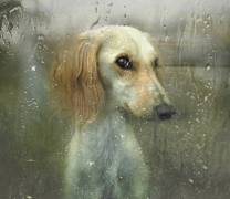 That autumn (Svetlana Melik-Nubarova) - Muzeo.com