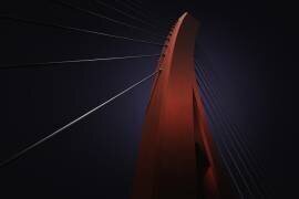 The Arc (Alvin Wang) - Muzeo.com