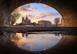 The eye (Charly Lataste) - Muzeo.com