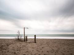 The Last (Massimo Della Latta) - Muzeo.com