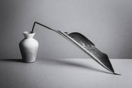 The Leaf (Kristina Oveckova) - Muzeo.com