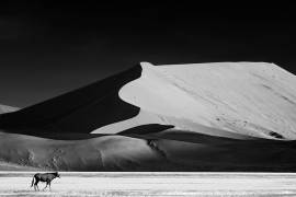 The Solitary (Mathilde Guillemot) - Muzeo.com