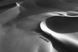 The way (Bingo Z) - Muzeo.com