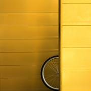 The Wheel (Gerard Jonkman) - Muzeo.com