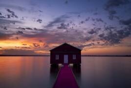 Tickled Pink (Richard Vandewalle) - Muzeo.com