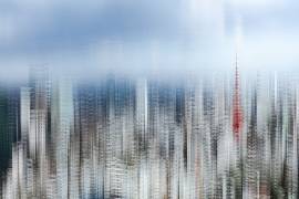 Tokyo layers (Sasaki Makoto) - Muzeo.com