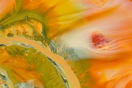 Toxic Colours (George-Tiberiu Bufan) - Muzeo.com