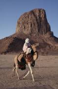 Tuareg Dromedarist in Algerian Desert (Hervé Gloaguen) - Muzeo.com