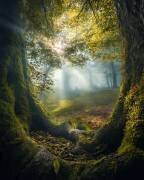 Two brothers (Armin Ramezanzad) - Muzeo.com