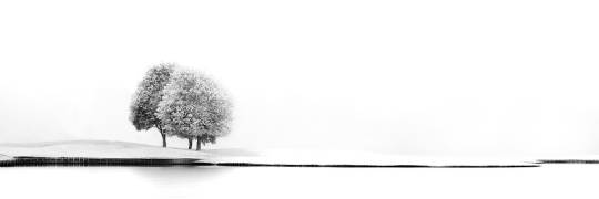 United #2 (Marc Huybrighs) - Muzeo.com