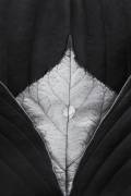 Untitled (Stephen Clough) - Muzeo.com