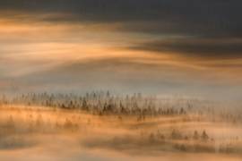 Untitled (Tomasz Rojek) - Muzeo.com
