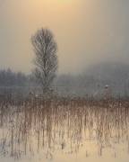 Untitled (Anastasios Gialopoulos) - Muzeo.com