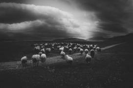Untitled (Todor Tanev) - Muzeo.com
