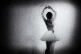 Untitled (Paulo Medeiros) - Muzeo.com
