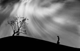 Uphill Walk (Peter Hammer) - Muzeo.com